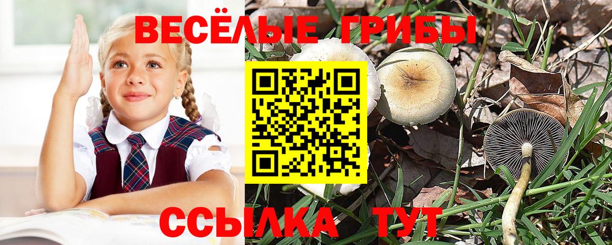 Псилоцибиновые грибы Magic Shrooms Лысьва